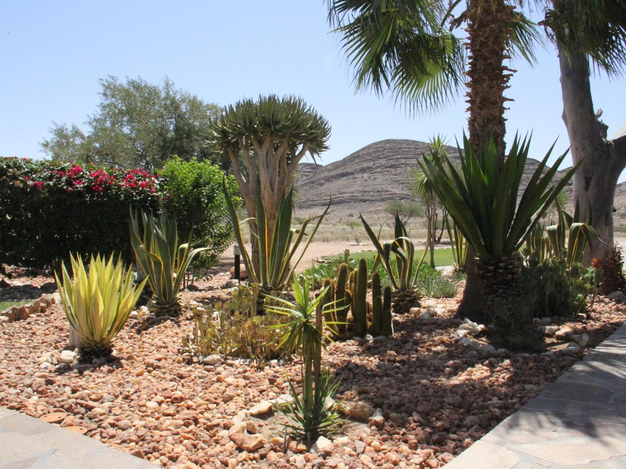 Rooisand Desert Ranch Chausib Phòng bức ảnh